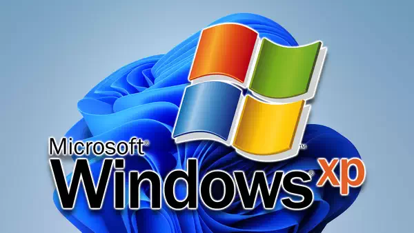 教程：如何在 Windows 11 上以兼容模式运行旧软件