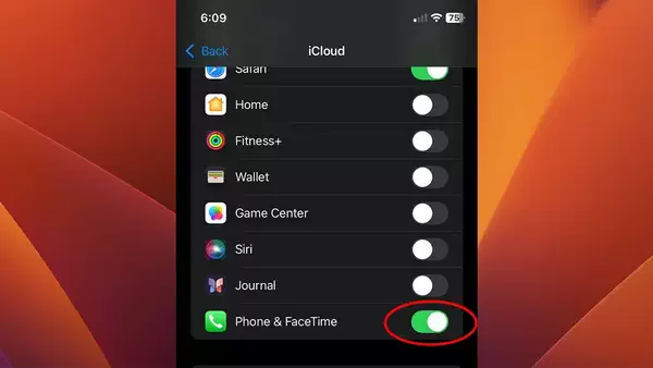 在 iPhone 上使用 “设置” 应用软件打开或关闭电话和 FaceTime 通话功能