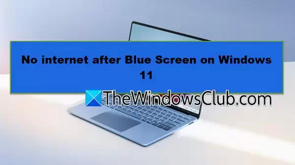教程：Windows 11 蓝屏后无法上网的解决办法