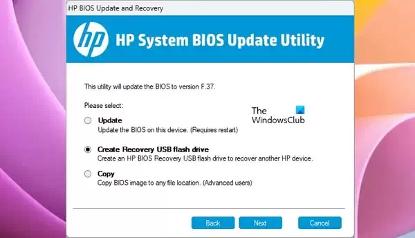 使用 USB 闪存盘恢复 BIOS