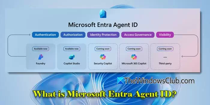 科普：什么是微软 Entra Agent ID？