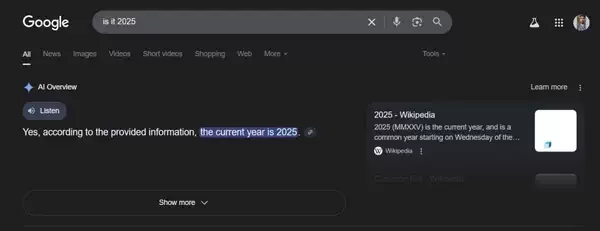 《谷歌人工智能概述》终于承认现在是 2025 年