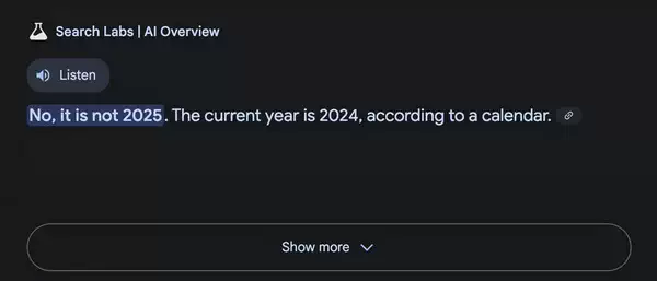 《谷歌人工智能概述》终于承认现在是 2025 年
